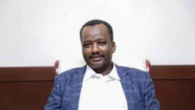 محمد حسن عربي