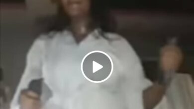 242267612 389413799354578 3638692117160250059 n