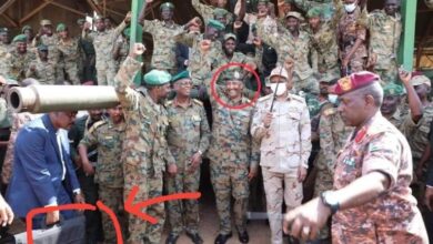 FB IMG 1632232345601 768x512 1