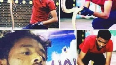 ad343884 f931 4108 bff4 e283bcc0fcf9