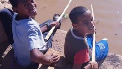 اطفال الحكيم