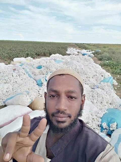 بالصور.. شاب سوداني يتجه إلى زراعة القطن ويحقف أرباحاً طائلة بلغت 9 مليار جنيه 12 بشرى