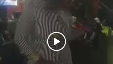 244334558 1060426871420059 5308971582580693296 n