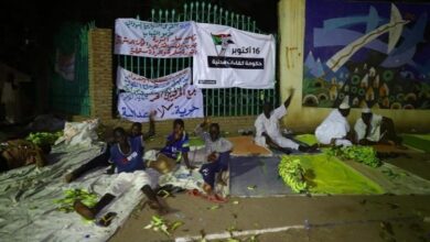 اعتصام القصر 1