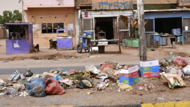 بجوار المطاعم ،، الزباب يتطائر scaled 1