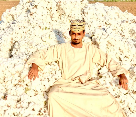 بالصور.. شاب سوداني يحقق مليار جنيه من أول لقطة "قطن" في رقعة زراعية صغيرة 12 الزبير عثمان