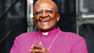 270007735 1665068230346111 6362236986968632745 n 750x430 1