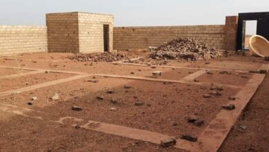 FB IMG 1640612137861 768x346 1