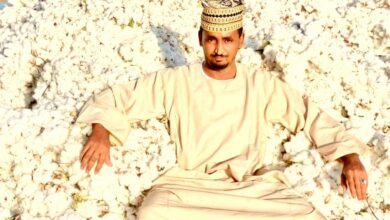 الزبير عثمان