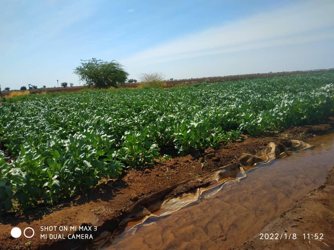 EDC1415A 2CF3 45B3 B453 FBF2B3D15BF9