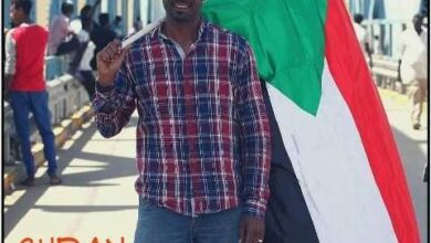 حسام الدين اسماعيل