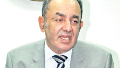 عمرو الشوبكي