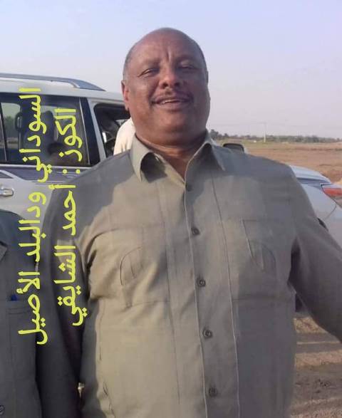 احمد الشايقي.. مثال للكوز النضيف زي الورد 10 احمد الشايقي