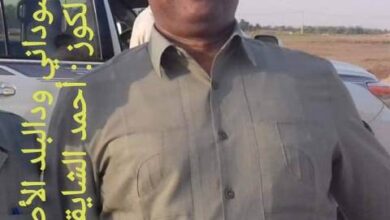 احمد الشايقي