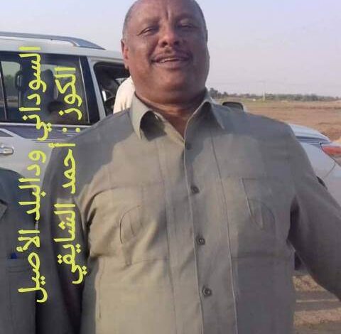 احمد الشايقي.. مثال للكوز النضيف زي الورد 1 احمد الشايقي