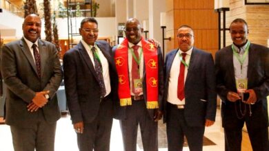 قوش المريخ2