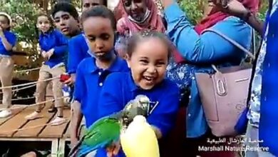 اطفال عصافير