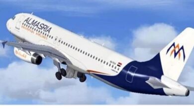 المصرية العالمية