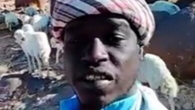 راعي سوداني