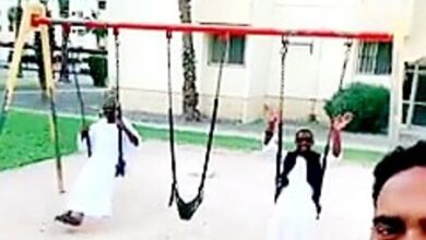 مرجيحة مغتربين