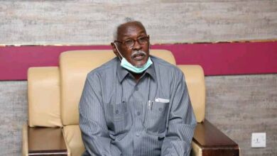 والي نهر النيل