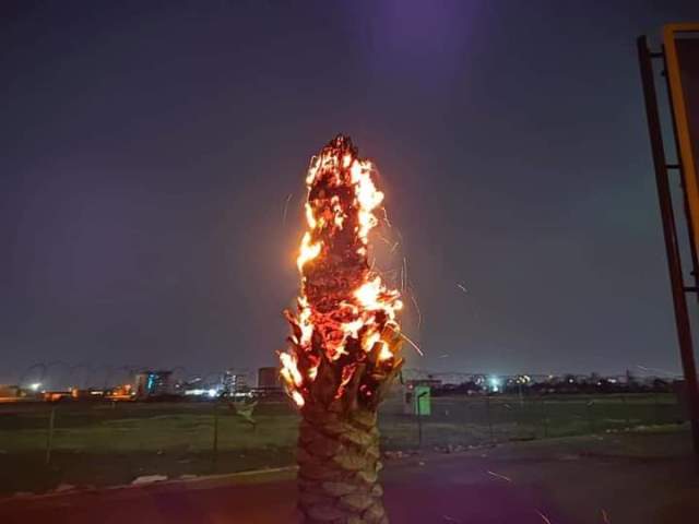 نعزي القحاتة والقطيع والشفاتة والكنداكات في فقدهم الكبير مليونية 6/ إبليس 10 حرق النخيل