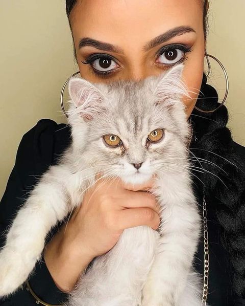 شاهد بالصور.. الإعلامية شهد المهندس تظهر بإطلالة جديدة رفقة قطتها التي بلغ سعرها 5 ألف دولار 12 شهد المهندس وقطتها