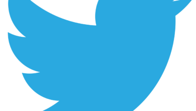 1200px Twitter bird logo 2012.svg 1