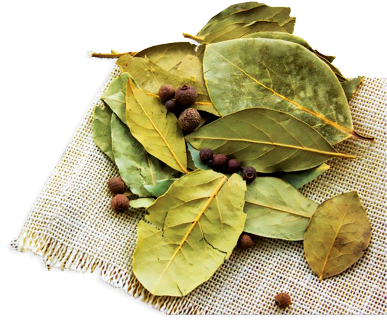 الغار.. فوائد صحية عدة 10 image 2