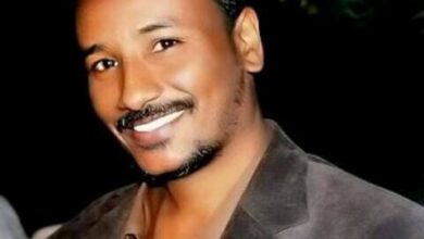 ابوبكر الشيخ