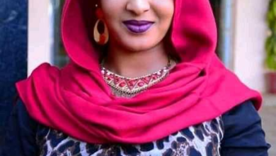 المذيعة حنان عثمان