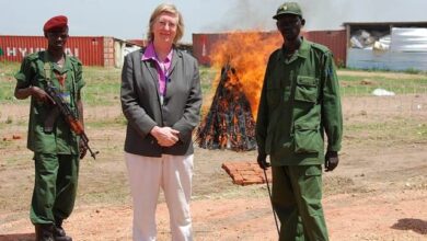 روزاليندا مارسدن