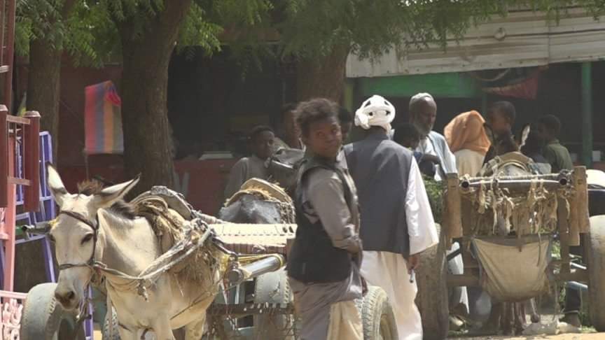 غرِقَ إبراهيم لكن لم يغرقْ حلمه! 10 حمار كارو سوق