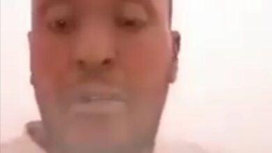 290060790 7747027305367272 3560894247916794837 n