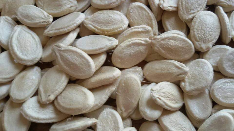 FB IMG 1656192601941