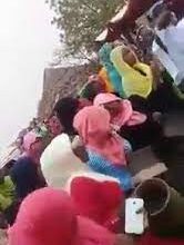 تعال بالزلط