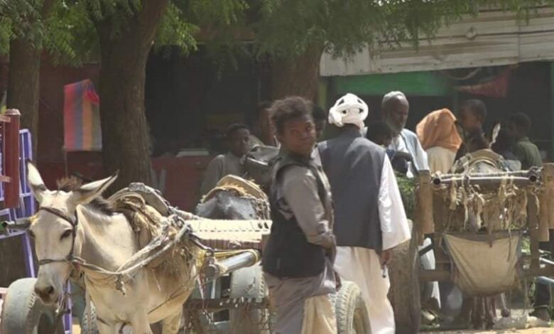 غرِقَ إبراهيم لكن لم يغرقْ حلمه! 1 حمار كارو سوق