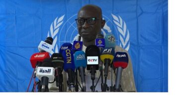 خبير الأمم المتحدة