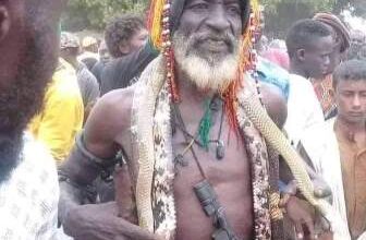 سوداني افاعي