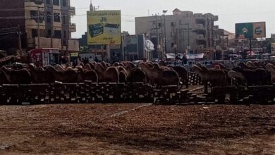 اعتصام سراج