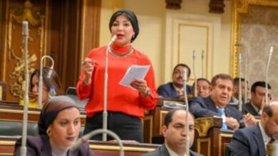 رشا ابو شقرة