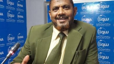 سيف الدين ارباب