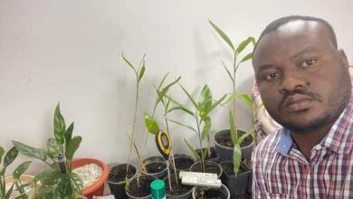 فتح الرحمن الفاتح