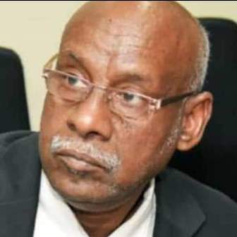 ابراهيم انور