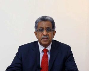 احمد حسن فحل