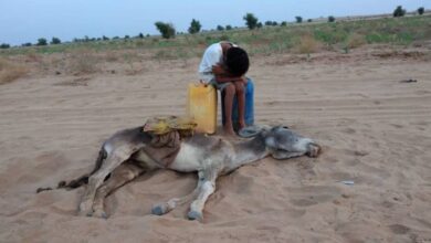 0921151b 577d 44eb 8596 e41e26b867ab 16x9 1200x676