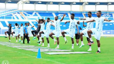 300674335 8348096278541482 1735177766033031619 n