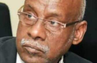 ابراهيم انور