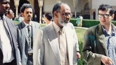 الترابي شبيه فولكر