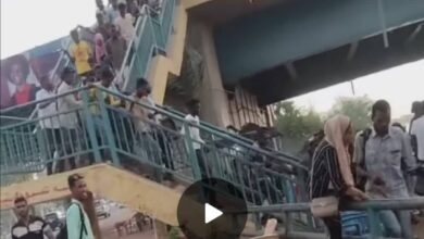 النظام العام